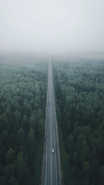 Road View With Foog 4K