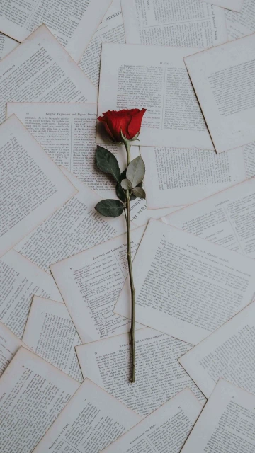 Rose Books Texts 4K