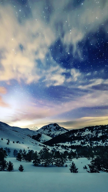 Snow In Winter 4K