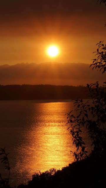 Sunset Lake Dusk 4K