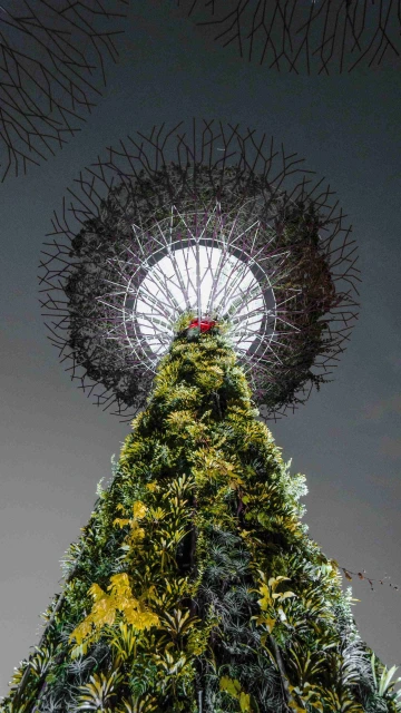 Supertree Grove 4K