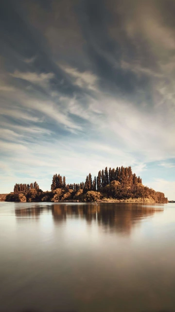 Trees Reflection Lake 4K
