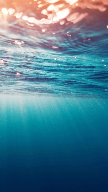 Under Water View 4K