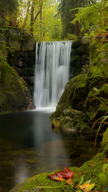 Waterfall Water Moss 4K