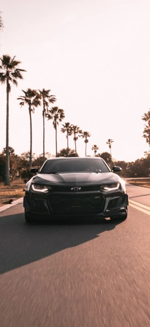 Black Chevrolet Camaro on Road 1