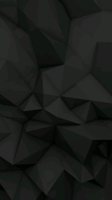 Black Geometric Pattern 1