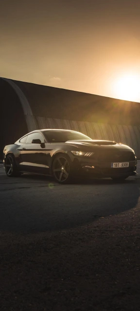 Black Mustang at Sunset
