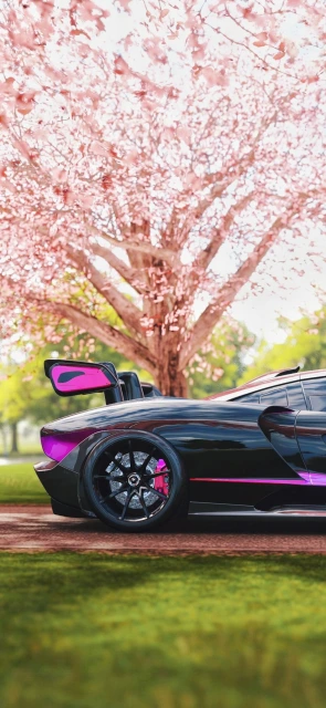 Black Sports Car Under Cherry Blossom Tree