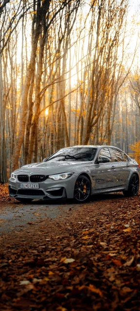 BMW M4 Car in Autumn Forest
