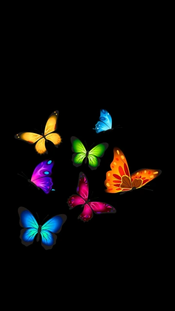 Colorful Butterflies on Black Background