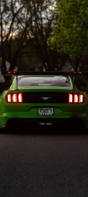 Green Mustang Rear View