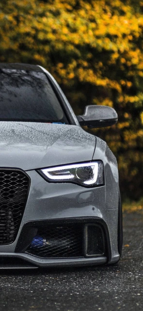 Grey Car Headlight Closeup