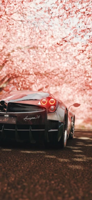 Huaan SC Car Cherry Blossoms