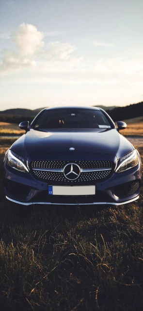 Mercedes Benz Car in Field