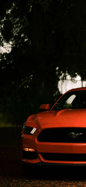 Orange Mustang Front View
