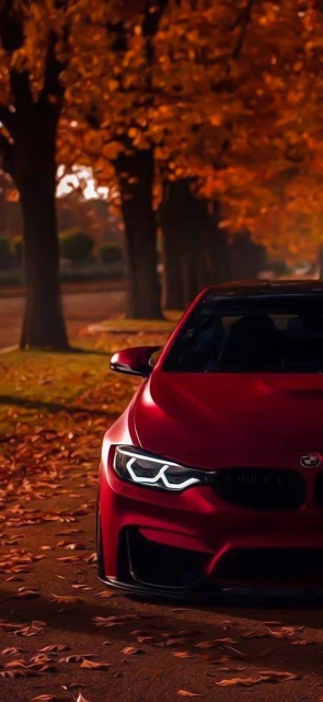 Red BMW Car Autumn Background