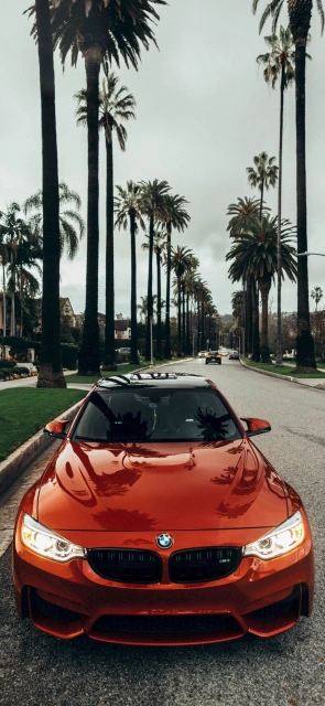 Red BMW on Palm Tree Street