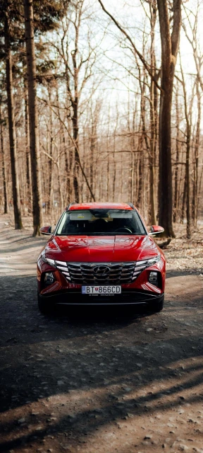 Red Hyundai Car in Forest