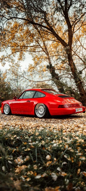 Red Porsche Parked Under Autumn Trees
