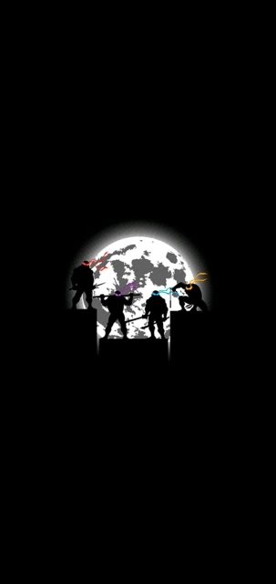 Teenage Mutant Ninja Turtles Silhouette
