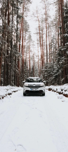 White Car Snowy Forest Road