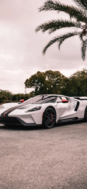 White Ford GT With Palm Tree