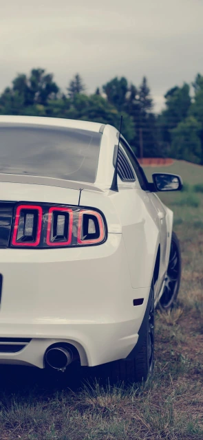 White Mustang Rear View