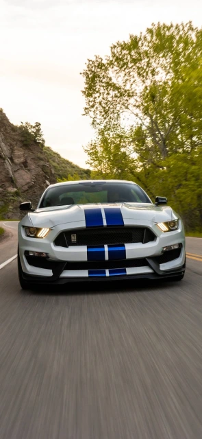 White Mustang Shelby GT350 Driving