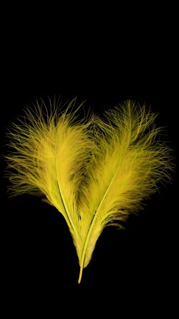 Yellow Feather Heart