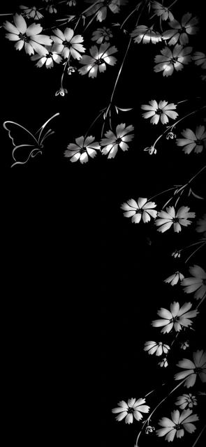 Black and White Flowers and Butterfly
