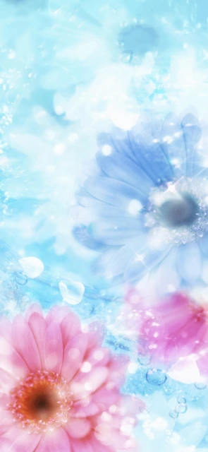 Blue and Pink Flowers