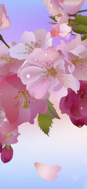 Cherry Blossom Flowers