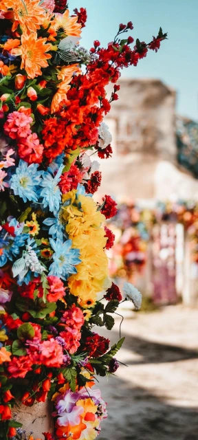 Colorful Flower Display