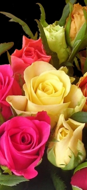 Colorful Roses Bouquet