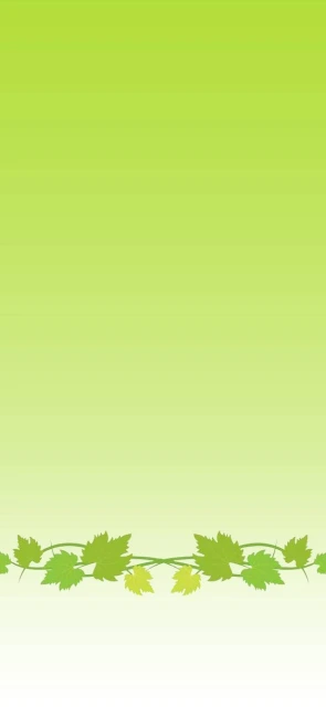 Green Gradient Background With Leaf Border