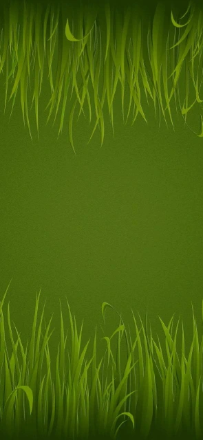 Green Grass Border Wallpaper