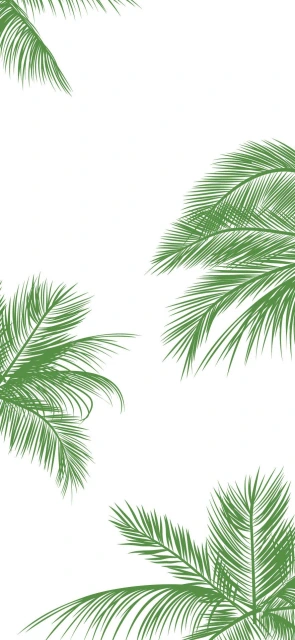 Green Palm Leaves White Background