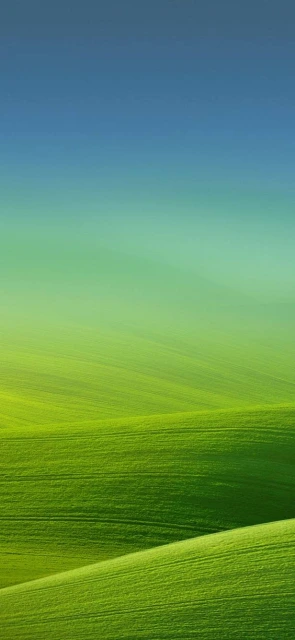 Green Rolling Hills Landscape