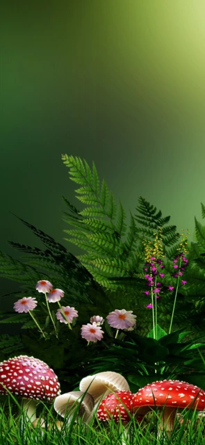 Mushrooms and Flowers