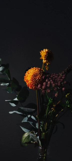 Orange Flower Arrangement