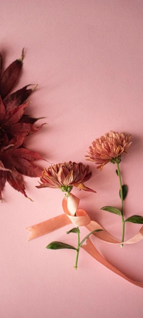 Pink Flowers with Ribbon