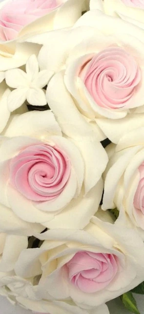 Pink Roses and White Flowers