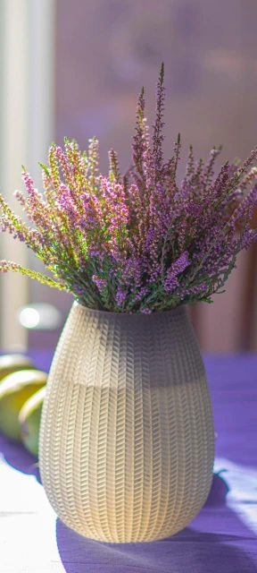 Purple Flowers in Vase