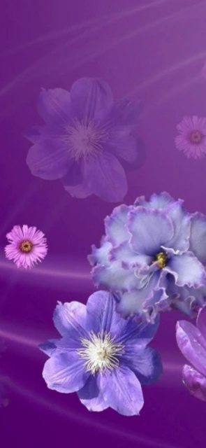 Purple Flowers Wallpaper