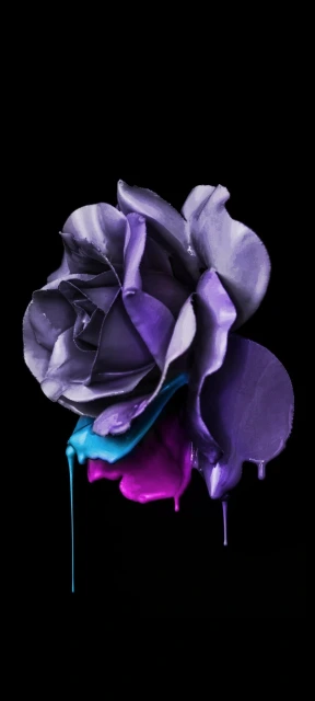 Purple Rose with Paint Drops