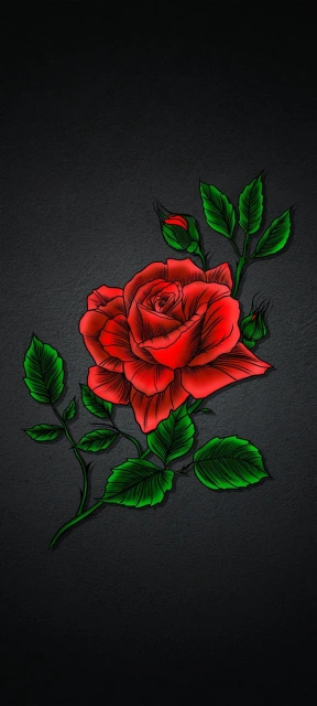 Red Rose Wallpaper 1