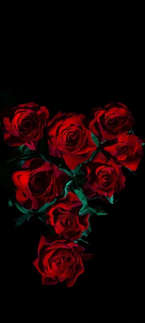 Red Roses Heart Pattern