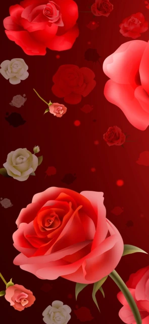 Red Roses Wallpaper