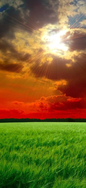 Sun Rays Over Green Field