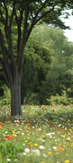 Tree and Wildflowers